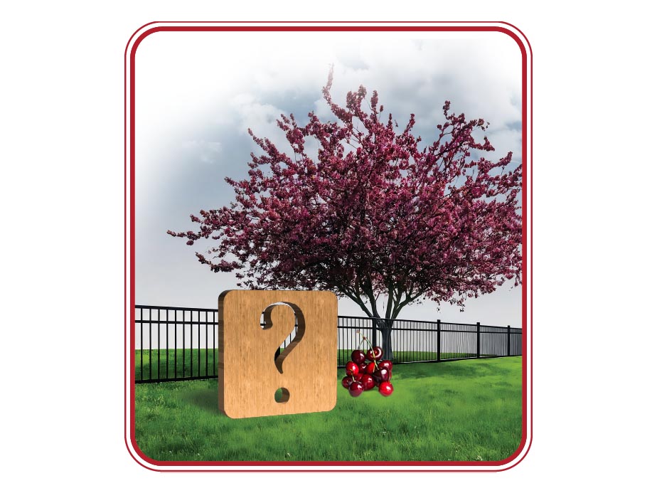 Fence FAQs in Blair Township Michigan