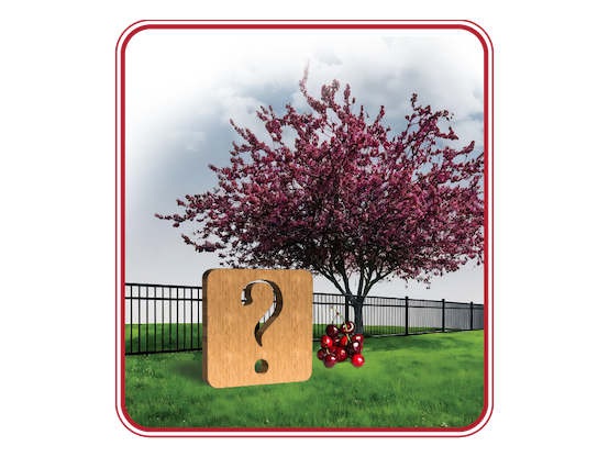 Fence FAQs in Rapid City Michigan